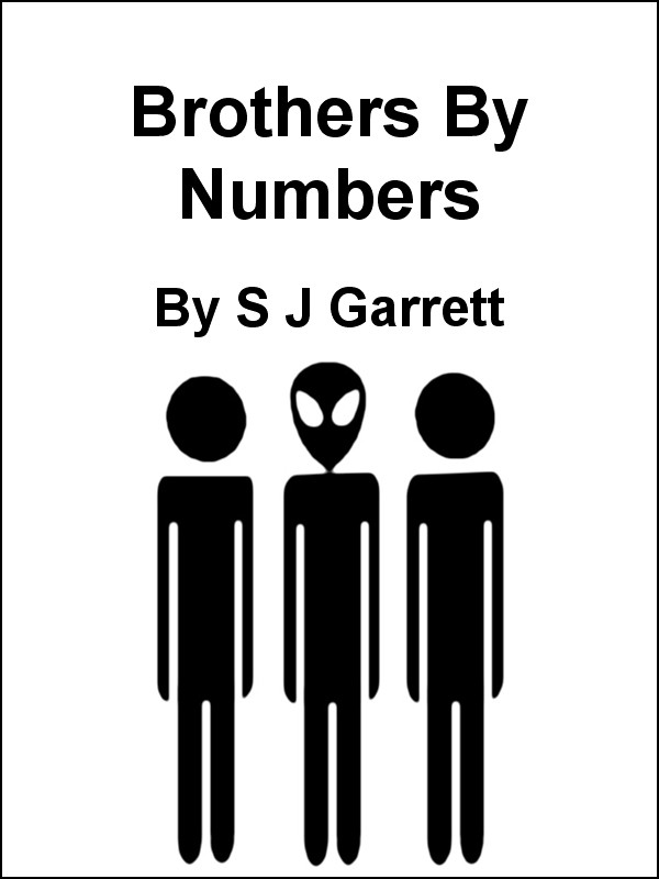 Bothers By Numbers